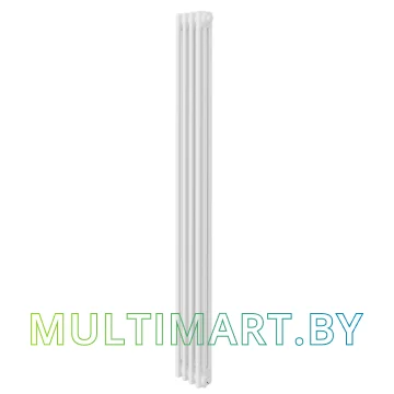 Стальной трубчатый радиатор Royal Thermo Insignia VC3180 (4 секции, RAL9016)